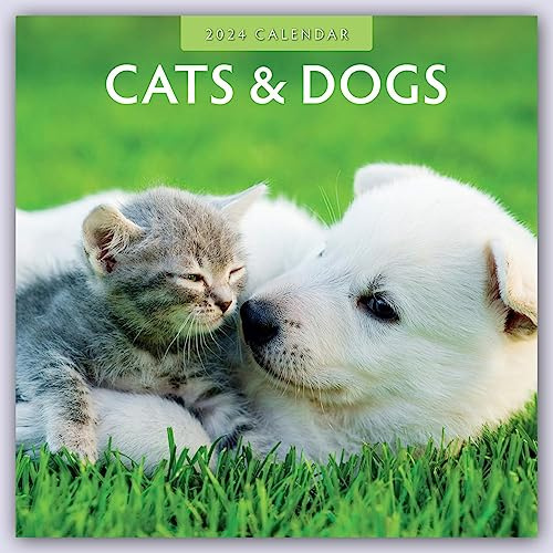 Cats & Dogs – Katzen & Hunde 2024 – 16-Monatskalender: Original Red Robin Publishing Ltd-Kalender [Mehrsprachig] [Kalender] (Wall-Kalender)