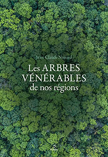 Arbres vénérables de nos régions