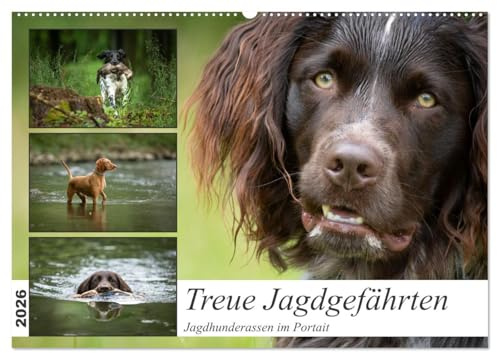 Treue Jagdgefährten - Jagdhunderassen im Portrait (Wandkalender 2026 DIN A2 quer), CALVENDO Monatskalender: Jagdhundvielfalt - Eleganz und Stärke in jedem Monat (CALVENDO Tiere)