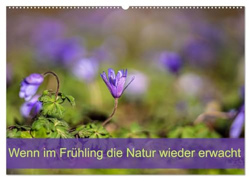 Wenn im Frühling die Natur wieder erwacht (Wandkalender 2026 DIN A2 quer), CALVENDO Monatskalender: Der Frühling ist der Beginn von etwas ganz Großem. (CALVENDO Natur)