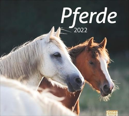 times&more Pferde Bildkalender 2022