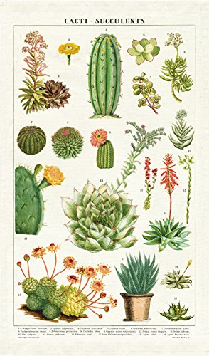 Cavallini Papers & Co. Succulents Cavallini Vintage Baumwolle Geschirrtuch