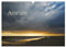 Amrum (Wandkalender 2025 DIN A3 quer), CALVENDO Monatskalender