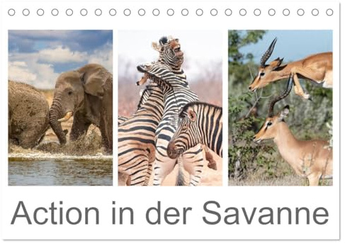 Action in der Savanne (Tischkalender 2026 DIN A5 quer), CALVENDO Monatskalender: Afrikas Tiere in voller Aktion (CALVENDO Tiere)