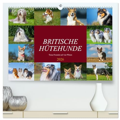 Britische Hütehunde - Treue Freunde auf vier Pfoten (hochwertiger Premium Wandkalender 2026 DIN A2 quer), Kunstdruck in Hochglanz: In wunderschönen ... Großbritanniens vor (CALVENDO Tiere)