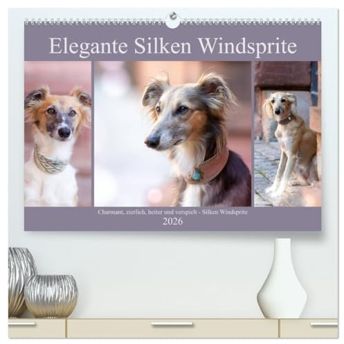 Elegante Silken Windsprite (hochwertiger Premium Wandkalender 2026 DIN A2 quer), Kunstdruck in Hochglanz: Elegant, rasant, entspannt - der Silken Windsprite (CALVENDO Tiere)