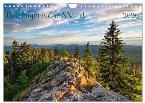 Der Bayerische Wald (Wandkalender 2026 DIN A4 quer), CALVENDO Monatskalender: Urwald und Bayerischer Nationalpark als Herzstück der Region (CALVENDO Orte)