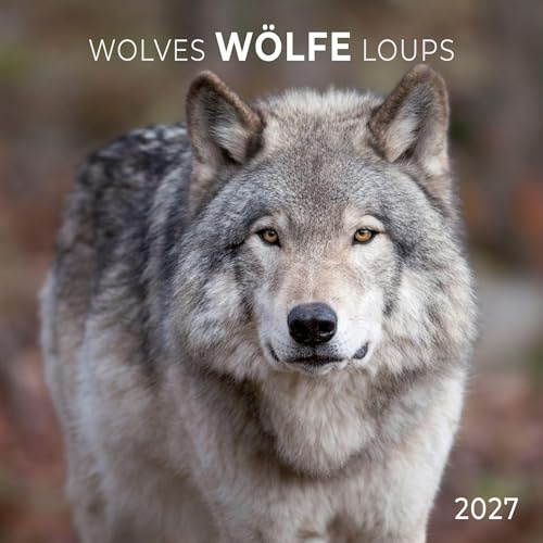 Wölfe / Wolves 2027: Kalender 2027 (Artwork Edition)