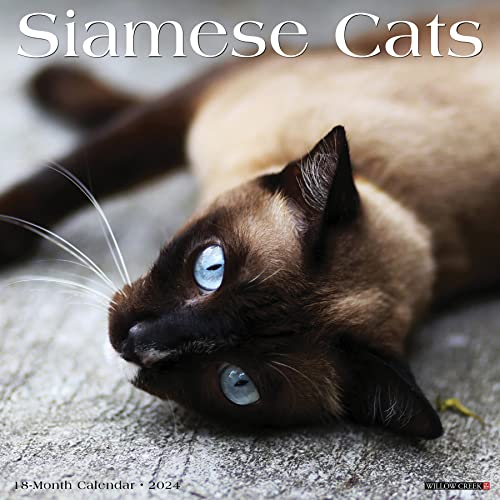 Siamese Cats 2024 Calendar