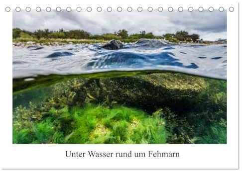 Unter Wasser rund um Fehmarn (Tischkalender 2025 DIN A5 quer), CALVENDO Monatskalender