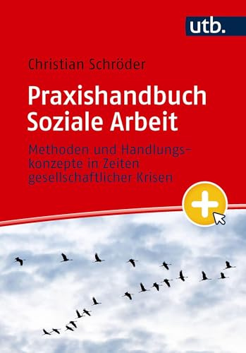 Praxishandbuch Soziale Arbeit: Methoden und Handlungskonzepte in Zeiten gesellschaftlicher Krisen