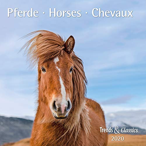 Pferde Horses 2020 - Broschürenkalender - Wandkalender - mit herausnehmbarem Poster - Format 30 x 30 cm