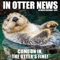 In Otter News 2026 12 X 12 Wall Calendar