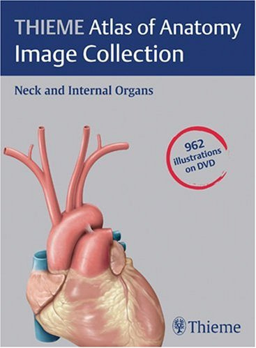 Neck and Internal Organs, CD-ROM: Image Collection (Thieme Atlas of Anatomy Series)