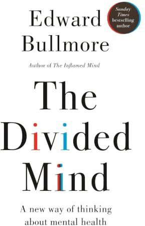 New River The Divided Mind.