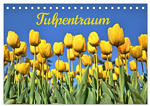 Tulpentraum (Tischkalender 2026 DIN A5 quer), CALVENDO Monatskalender: Ein farbenfroher Wandkalender rund um die beliebte Blume (CALVENDO Natur)