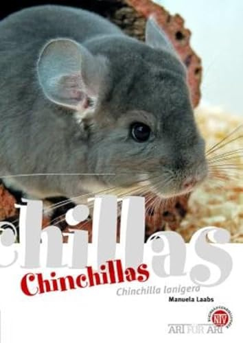 Chinchillas: Chinchilla lanigera (Buchreihe Art für Art Kleinsäuger)