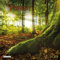 Deep Forest 2023: Kalender 2023 (Wonderful World)