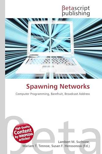 Spawning Networks: Computer Programming, Barefruit, Broadcast Address