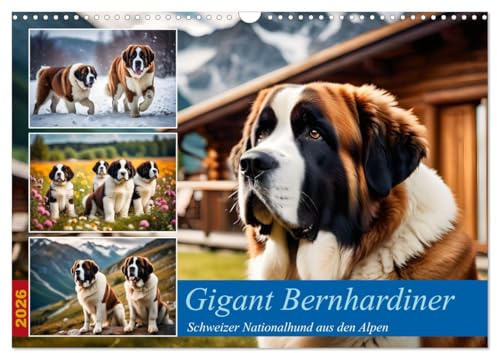 Gigant Bernhardiner (Wandkalender 2026 DIN A3 quer), CALVENDO Monatskalender: Schweizer Nationalhund aus den Alpen (CALVENDO Tiere)