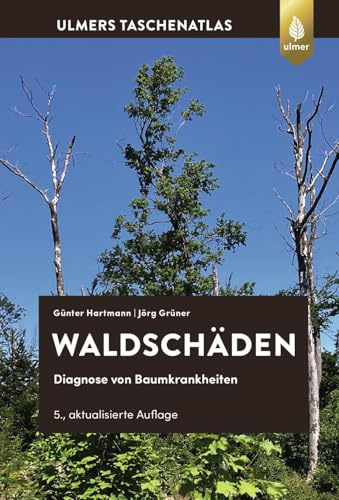 Waldschäden: Diagnose von Baumkrankheiten