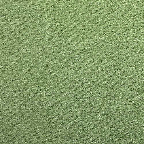Clairefontaine 93896C Packung (mit 25 Bögen Zeichenpapier Etival Color, DIN A4, 21 x 29,7 cm, 160g, gekörnt, ideal für Trockentechnik und Einrahmen) apfelgrün