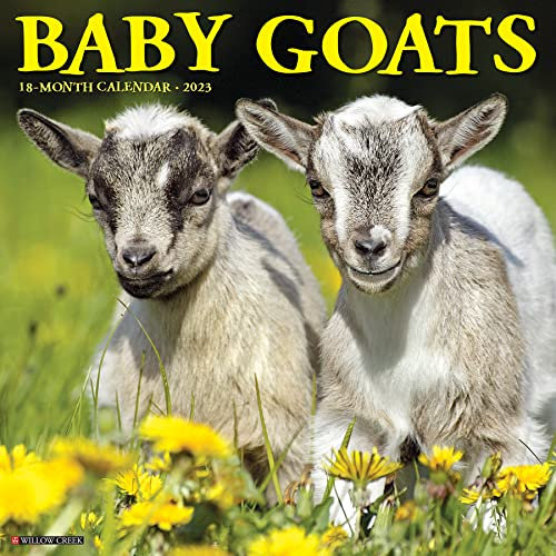 Baby Goats 2023 Calendar