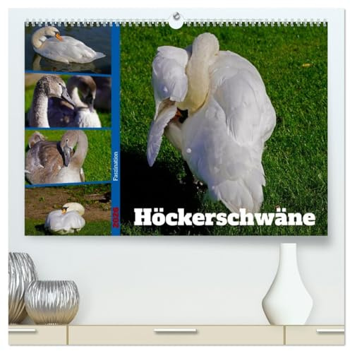 Faszination Höckerschwäne (hochwertiger Premium Wandkalender 2026 DIN A2 quer), Kunstdruck in Hochglanz: Ausgewählte Bilder weißer Schwäne und grauer Jungschwäne in der Natur (CALVENDO Tiere)