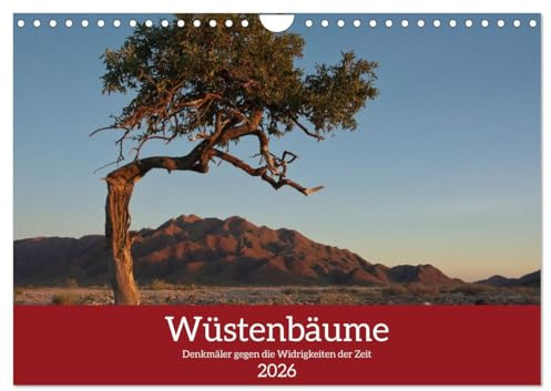 Wüstenbäume (Wandkalender 2026 DIN A4 quer), CALVENDO Monatskalender: Denkmäler gegen die Widrigkeiten der Zeit (CALVENDO Natur)