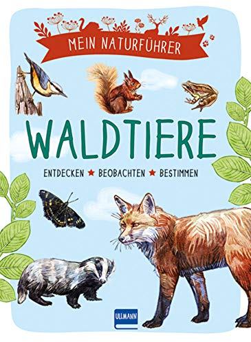 Naturführer - Waldtiere: Beobachten · verstehen · schützen