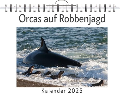 Orcas auf Robbenjagd - (Wandkalender 2025, Kalender DIN A4 quer, Monatskalender im Querformat mit Kalendarium, das perfekte Geschenk)