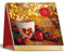 Trötsch Adventskalender 24 wundervolle Tage: Aufstelladventskalender