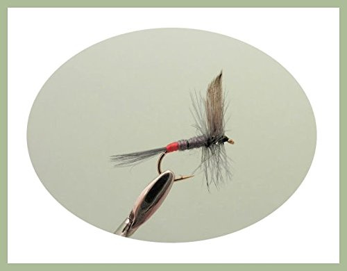 Iron Blue Dun Dry Trout Flies, 12 Pack, Mixed Size 12/14/16, For Fly Fishing