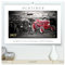 Oldtimer - nostalgische Trecker und Lastwagen (hochwertiger Premium Wandkalender 2025 DIN A2 quer), Kunstdruck in Hochglanz