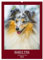 Sheltie - Wirbelwind auf 4 Pfoten (Wandkalender 2025 DIN A2 hoch), CALVENDO Monatskalender