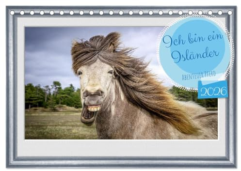 Ich bin ein Isländer (Tischkalender 2026 DIN A5 quer), CALVENDO Monatskalender: Islandpferde voller Lebensfreude. (CALVENDO Tiere)