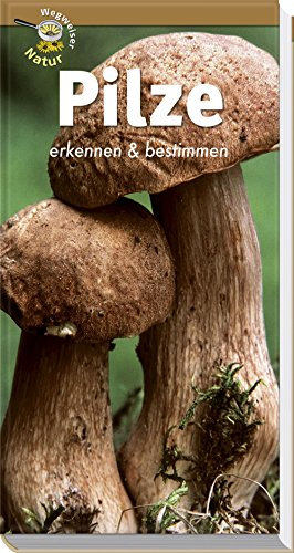 Pilze erkennen und bestimmen: Wegweiser Natur