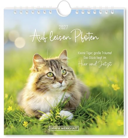Postkartenkalender 2027 Auf leisen Pfoten: Postkartenkalender