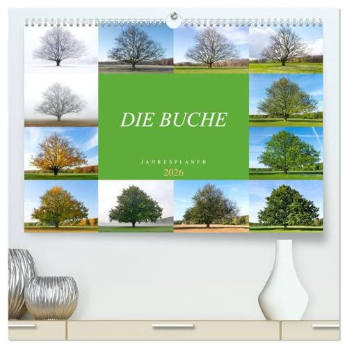 Die Buche: Jahresplaner 2026 (hochwertiger Premium Wandkalender 2026 DIN A2 quer), Kunstdruck in Hochglanz: Vier Jahreszeiten der Rotbuche (CALVENDO Natur)