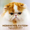 Mürrischer Katzen-Tagesplaner 2017