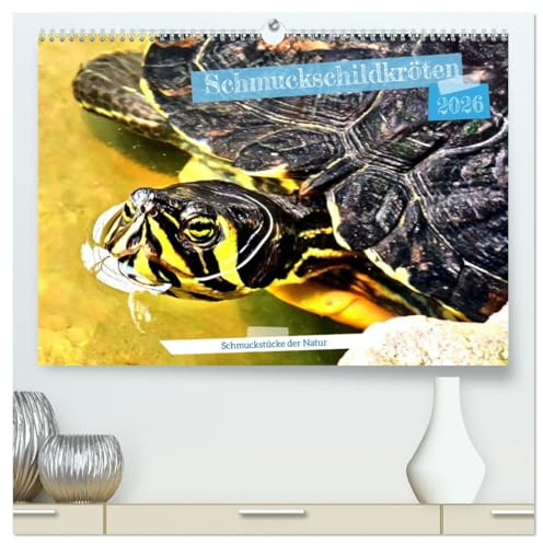 Schmuckschildkröten - Schmuckstücke der Natur (hochwertiger Premium Wandkalender 2026 DIN A2 quer), Kunstdruck in Hochglanz: Neuwelt-Sumpfschildkröten aus Nordamerika (CALVENDO Tiere)