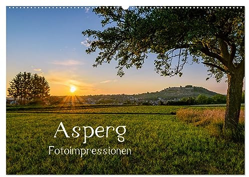Asperg - Fotoimpressionen (Wandkalender 2026 DIN A2 quer), CALVENDO Monatskalender: Ein fotografischer Spaziergang durch Asperg (CALVENDO Orte)