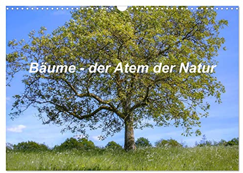 Bäume, der Atem der Natur (Wandkalender 2026 DIN A3 quer), CALVENDO Monatskalender: Bunte Baumvielfalt (CALVENDO Natur)