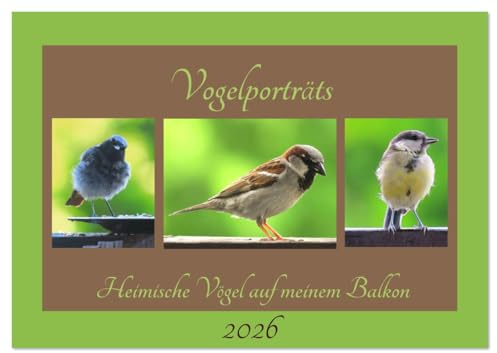 Vogelporträts - Heimische Vögel auf meinem Balkon (Wandkalender 2026 DIN A3 quer), CALVENDO Monatskalender: Freuen Sie sich über die kleinen Vogelgesellen aus Ihrem Garten (CALVENDO Tiere)