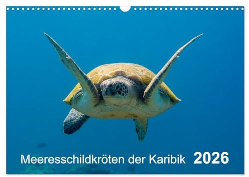 Meeresschildkröten der Karibik (Wandkalender 2026 DIN A3 quer), CALVENDO Monatskalender: Meeresschildkröten der Karibik - eine großartige Begegnung mit faszinierenden Lebewesen! (CALVENDO Natur)