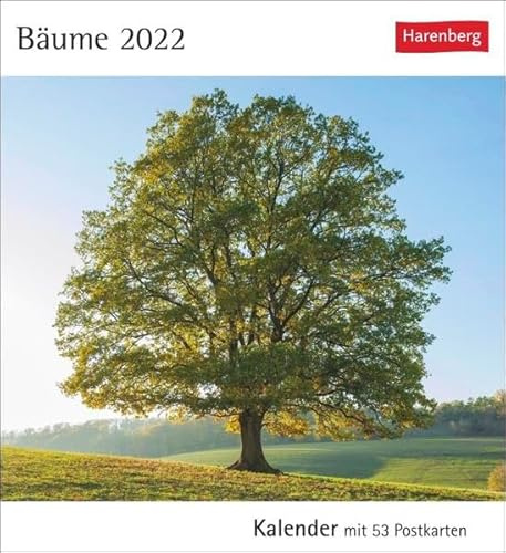Bäume Kalender 2022: Kalender mit 53 Postkarten