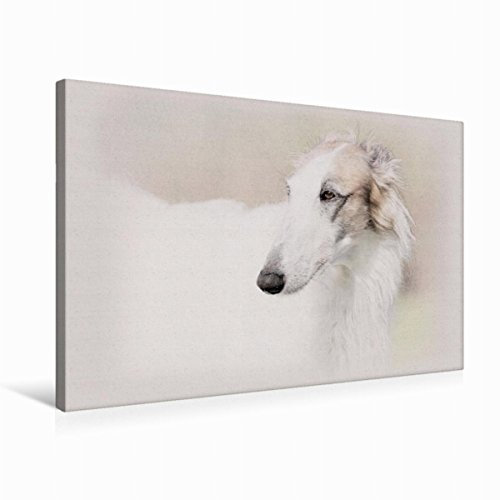 Premium Textil-Leinwand 75 x 50 cm Querformat Premium Textil-Leinwand 75 cm x 50 cm quer Ein Motiv aus dem Kalender Windhunde 2017 | Wandbild, HD-Bild auf Keilrahmen, Wanddekoration, Kunstdruck von An
