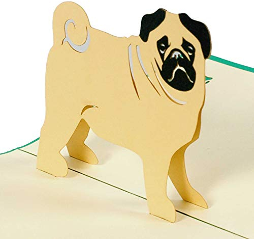 Diese-Klappkarten Hundekarte mit Mops, Karte mit Haustier zum Geburtstag oder als Glückwunschkarte, Geburtstagskarte als Gutschein oder eine tolle Überraschung, Geschenk F17