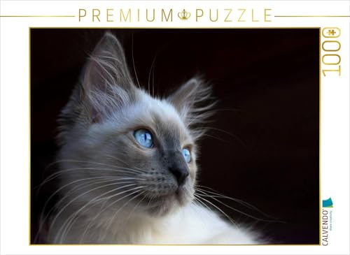 CALVENDO Puzzle EIN Motiv aus dem Kalender Engel auf 4 Pfoten - Ragdolls 2017 | 1000 Teile Lege-Größe 64 x 48 cm Foto-Puzzle für glückliche Stunden