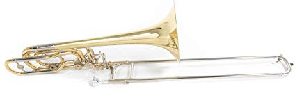 Roy Benson Bb/F/Gb/D-Bass Posaune BT-260 (2-ventiliges inline System, 10 Messing Schallstück, 14,3mm Bohrung, Neusilber Züge, hohe Präzision und Klangbrillanz, mit handlichen Formetui)